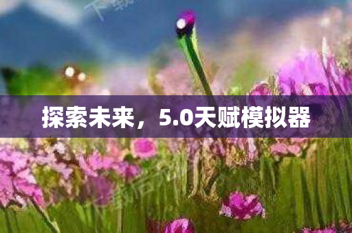 探索未来，5.0天赋模拟器