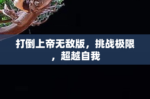 打倒上帝无敌版,挑战极限,超越自我 打倒上帝无敌版,挑战极限,超越自我