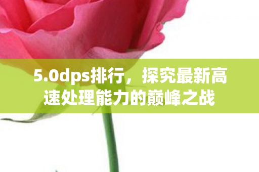 5.0dps排行，探究最新高速处理能力的巅峰之战