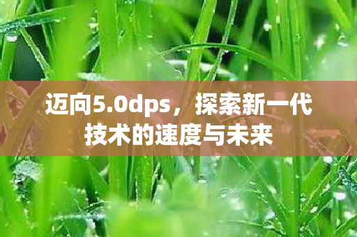 迈向5.0dps,探索新一代技术的速度与未来 迈向5.0dps,探索新一代技术的速度与未来