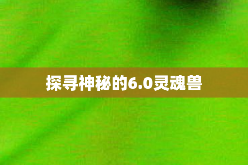 探寻神秘的6.0灵魂兽