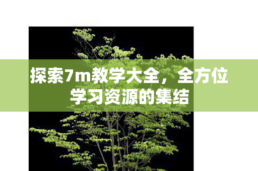 探索7m教学大全,全方位学习资源的集结 探索7m教学大全,全方位学习资源的集结