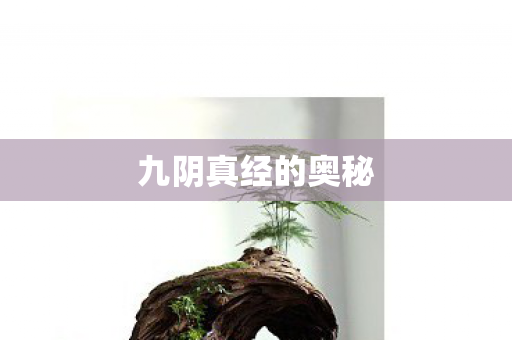 九阴真经的奥秘 九阴真经的奥秘