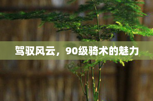 驾驭风云,90级骑术的魅力 驾驭风云,90级骑术的魅力