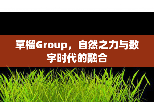 草榴Group，自然之力与数字时代的融合