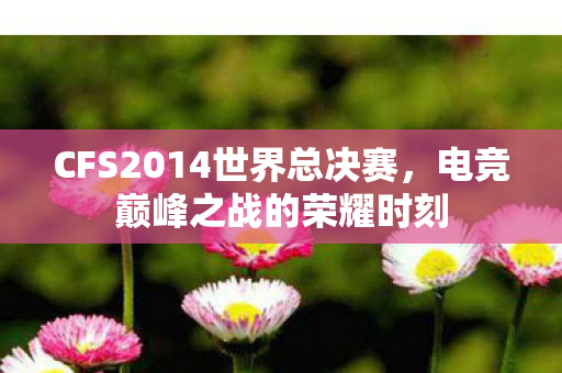 CFS2014世界总决赛，电竞巅峰之战的荣耀时刻