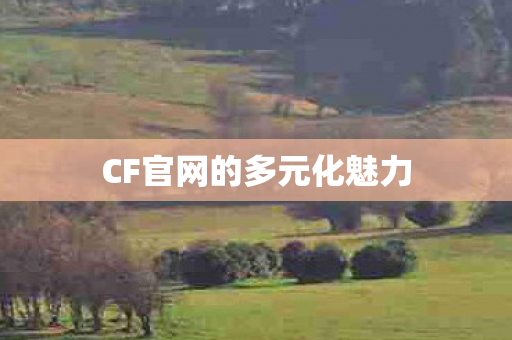 CF官网的多元化魅力 CF官网的多元化魅力