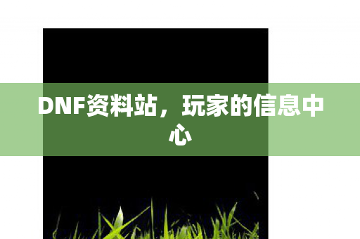 DNF资料站,玩家的信息中心 DNF资料站,玩家的信息中心