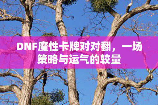 DNF魔性卡牌对对翻,一场策略与运气的较量 DNF魔性卡牌对对翻,一场策略与运气的较量