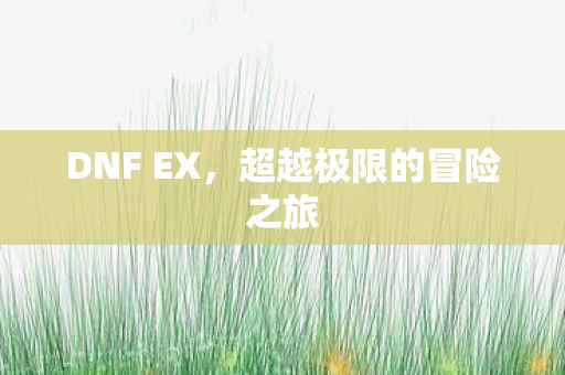 DNF EX,超越极限的冒险之旅 DNF EX,超越极限的冒险之旅