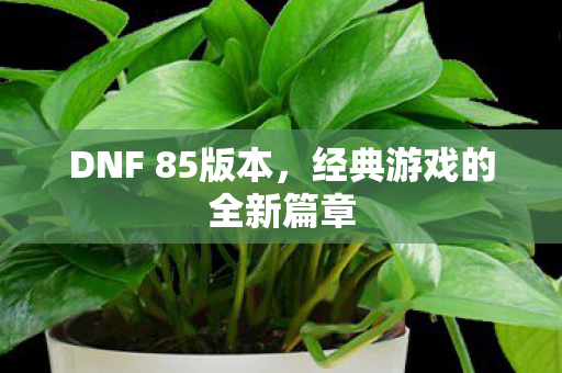 DNF 85版本,经典游戏的全新篇章 DNF 85版本,经典游戏的全新篇章