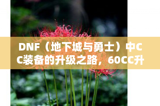 DNF(地下城与勇士)中CC装备的升级之路,60CC升级攻略 DNF(地下城与勇士)中CC装备的升级之路,60CC升级攻略