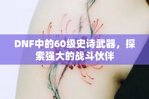 DNF中的60级史诗武器,探索强大的战斗伙伴 DNF中的60级史诗武器,探索强大的战斗伙伴