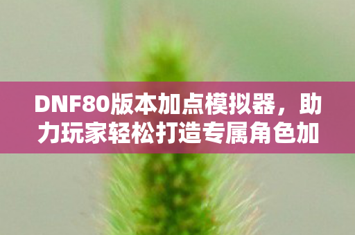 DNF80版本加点模拟器，助力玩家轻松打造专属角色加点方案