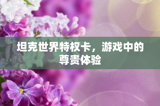 坦克世界特权卡,游戏中的尊贵体验 坦克世界特权卡,游戏中的尊贵体验