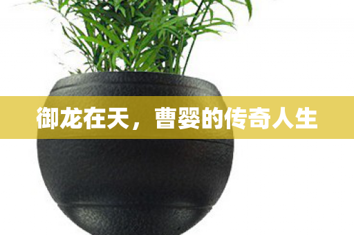 御龙在天，曹婴的传奇人生