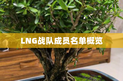 LNG战队成员名单概览 LNG战队成员名单概览