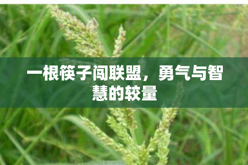 一根筷子闯联盟，勇气与智慧的较量
