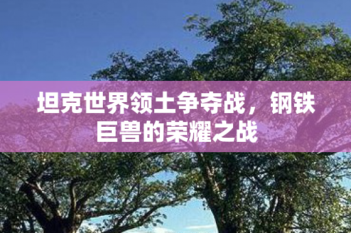 坦克世界领土争夺战，钢铁巨兽的荣耀之战