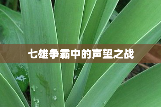 七雄争霸中的声望之战 七雄争霸中的声望之战