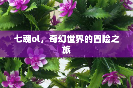 七魂ol,奇幻世界的冒险之旅 七魂ol,奇幻世界的冒险之旅