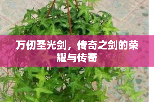 万仞圣光剑,传奇之剑的荣耀与传奇 万仞圣光剑,传奇之剑的荣耀与传奇