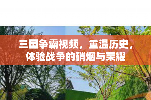 三国争霸视频,重温历史,体验战争的硝烟与荣耀 三国争霸视频,重温历史,体验战争的硝烟与荣耀