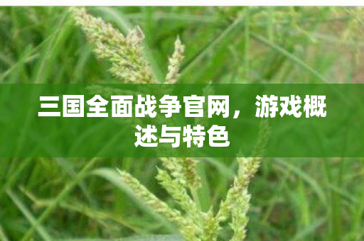 三国全面战争官网，游戏概述与特色