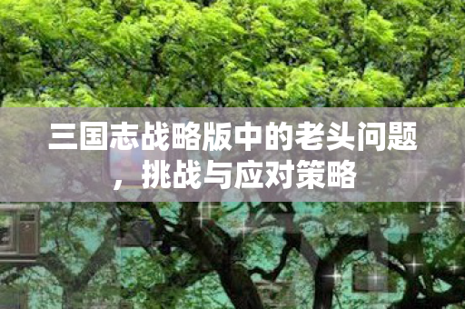 三国志战略版中的老头问题,挑战与应对策略 三国志战略版中的老头问题,挑战与应对策略