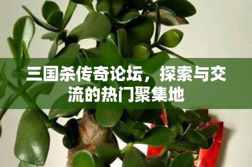 三国杀传奇论坛,探索与交流的热门聚集地 三国杀传奇论坛,探索与交流的热门聚集地