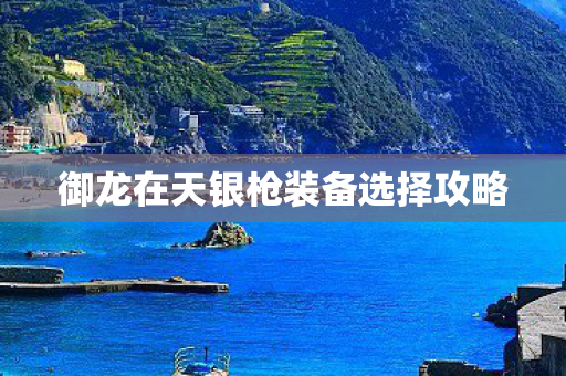 御龙在天银枪装备选择攻略 御龙在天银枪装备选择攻略