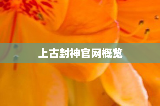 上古封神官网概览 上古封神官网概览