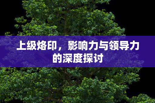 上级烙印,影响力与领导力的深度探讨 上级烙印,影响力与领导力的深度探讨