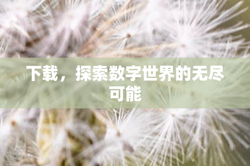 下载,探索数字世界的无尽可能 下载,探索数字世界的无尽可能