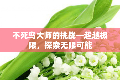 不死鸟大师的挑战—超越极限,探索无限可能 不死鸟大师的挑战—超越极限,探索无限可能