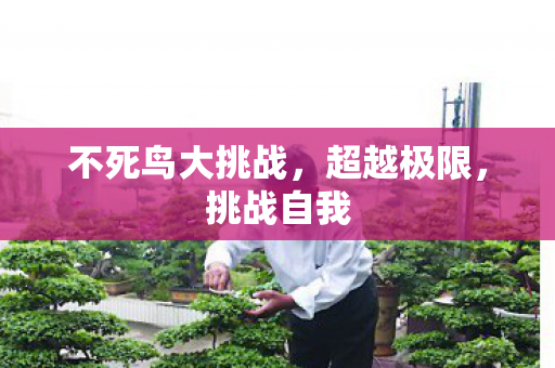 不死鸟大挑战,超越极限,挑战自我 不死鸟大挑战,超越极限,挑战自我