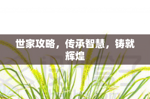世家攻略,传承智慧,铸就辉煌 世家攻略,传承智慧,铸就辉煌