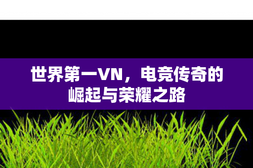 世界第一VN,电竞传奇的崛起与荣耀之路 世界第一VN,电竞传奇的崛起与荣耀之路