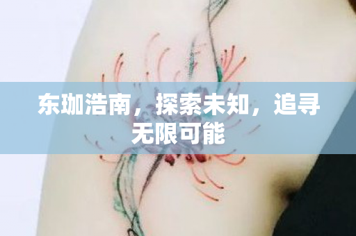 东珈浩南,探索未知,追寻无限可能 东珈浩南,探索未知,追寻无限可能