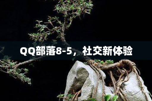 QQ部落8-5，社交新体验