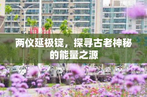 两仪延极锭,探寻古老神秘的能量之源 两仪延极锭,探寻古老神秘的能量之源