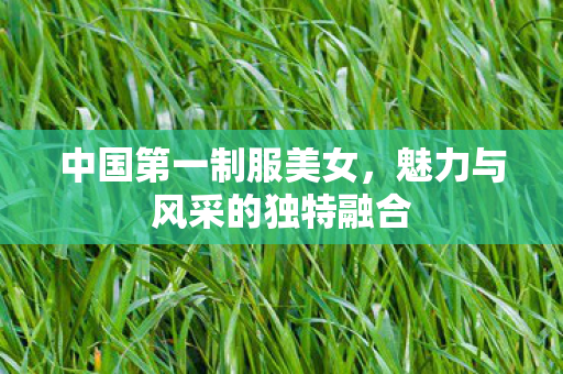 中国第一制服美女，魅力与风采的独特融合