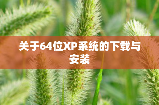 关于64位XP系统的下载与安装 关于64位XP系统的下载与安装