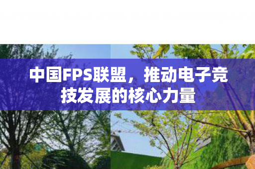 中国FPS联盟,推动电子竞技发展的核心力量 中国FPS联盟,推动电子竞技发展的核心力量