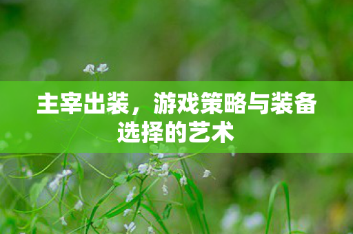 主宰出装,游戏策略与装备选择的艺术 主宰出装,游戏策略与装备选择的艺术