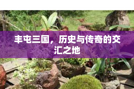 丰屯三国,历史与传奇的交汇之地 丰屯三国,历史与传奇的交汇之地