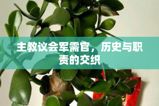 主教议会军需官,历史与职责的交织 主教议会军需官,历史与职责的交织