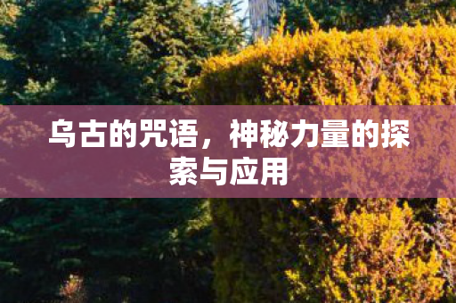 乌古的咒语，神秘力量的探索与应用