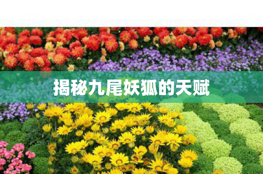 揭秘九尾妖狐的天赋 揭秘九尾妖狐的天赋