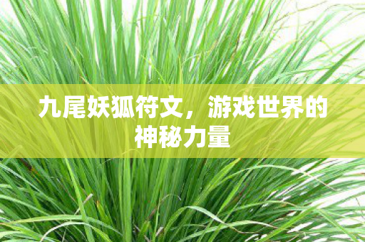 九尾妖狐符文,游戏世界的神秘力量 九尾妖狐符文,游戏世界的神秘力量
